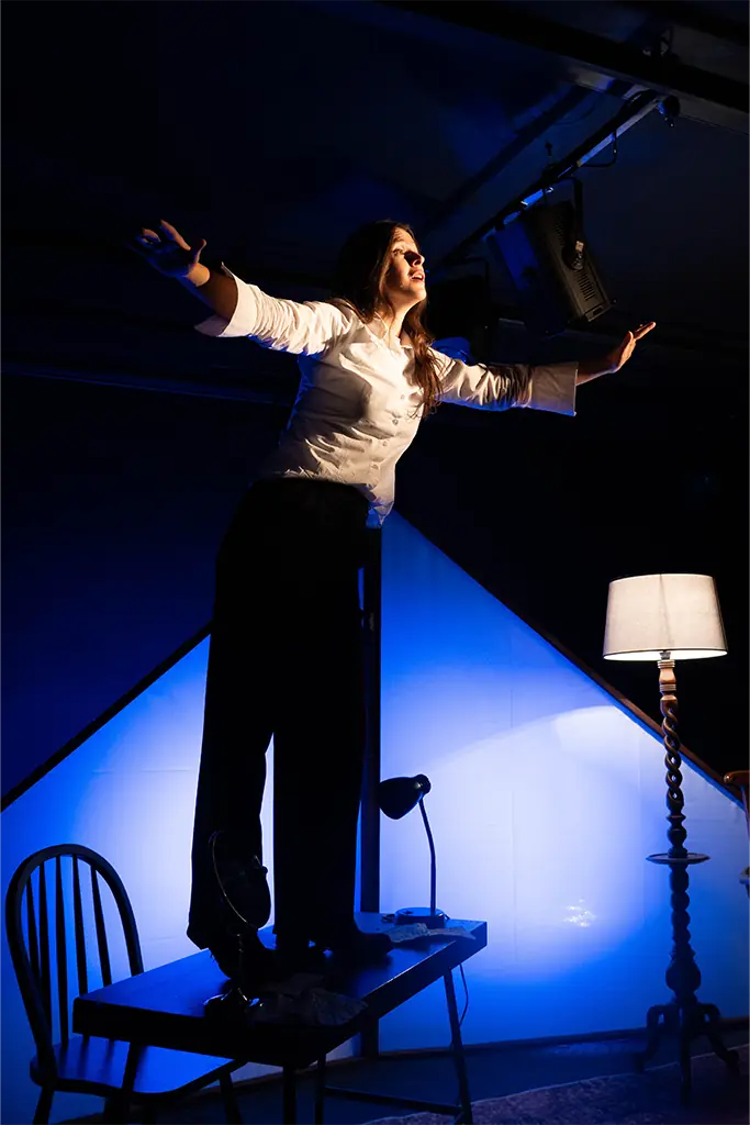 Baştan Çıkarıcının Günlüğü - görsel 19